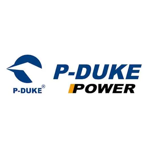 P-DUKE Technology Co