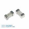FAST FUSE SMD 2410 1A 125V (Copy)