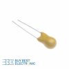 100UF/16V T