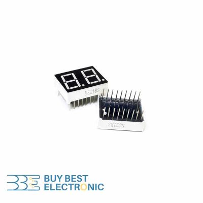 CA 7-SEG 2-DIGIT 19X25 R (18PIN)