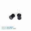 INDUCTOR 100MH 9*12