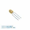 299D106X0016DB1