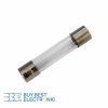 FUSE 6X30 10A