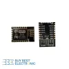 ESP-12E (Copy)